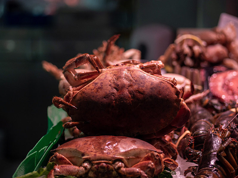 市场,螃蟹,阿拉斯加雪蟹,清新,渔业,多样,食品,成分,著名景点,顾客