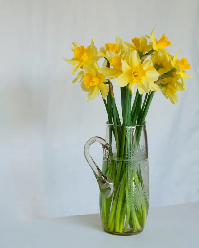 花束 水仙花 垂直画幅 无人 背景分离 多花水仙 仅一朵花 黄色 花瓶 叶子图片素材下载 稿定素材