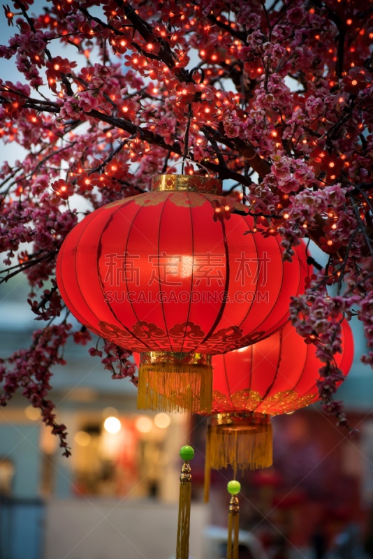 红色,悬挂的,灯笼,高大的,户外,黄昏,夜晚,季节,春天,组物体