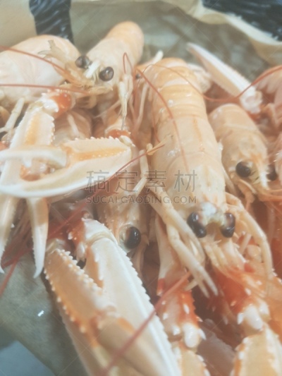 螯虾,格子烤肉,瑞典,热,清新,香料,食品,食盐,调味品,背景