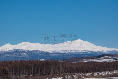 天空,春山山脉,青绿色,贺卡,旭岳火山,雪山,雪,日本落叶松,植物,丘陵