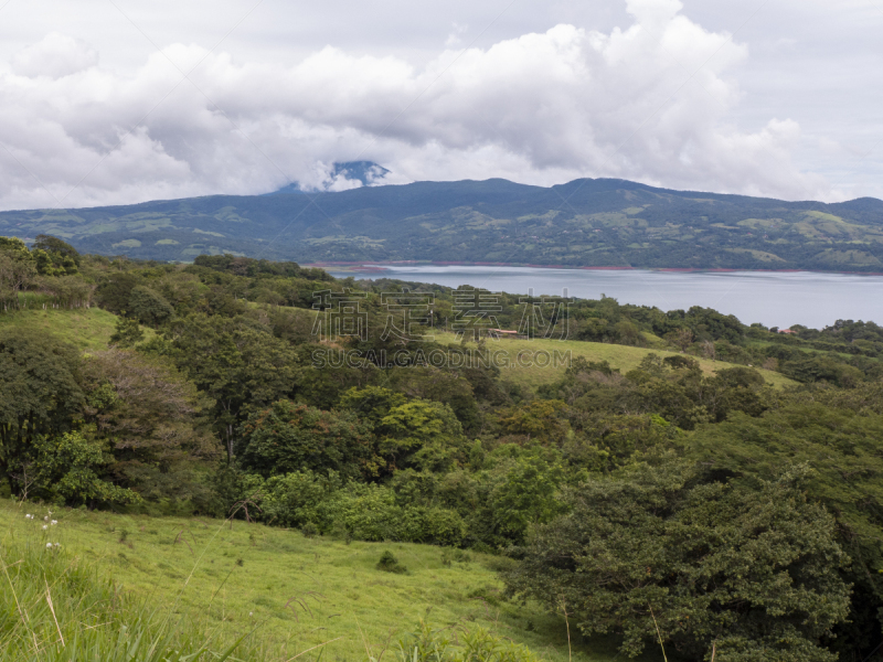 枝繁叶茂,哥斯达黎加,阿雷纳尔湖,山,植物群,徒步旅行,北,在活动中,农业,气候