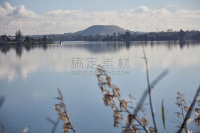 奥克兰,都市风光,威灵顿山,图像,海洋,新西兰,无人,滩涂,街道,水