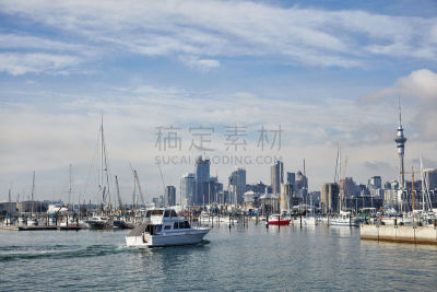 奥克兰,都市风光,威灵顿山,图像,海洋,新西兰,无人,滩涂,街道,水