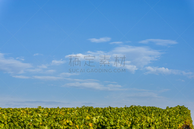 天空,弗兰克尼,白色,秋天,叶子,多色的,地形,太阳,葡萄园,复古