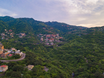 绿色,自然,航拍视角,山,森林,乡村,居住区,树