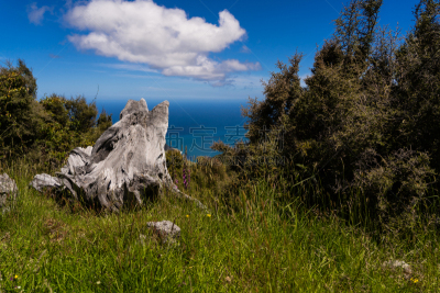 akaroa,背景,自然,在上面,图像,海洋,新西兰,地形,山,摄影