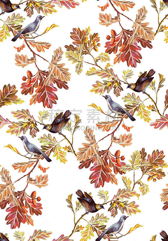 鸟类,四方连续纹样,植物学,华丽的,贺卡,背景分离,纺织品,浪漫,铅笔,复古风格