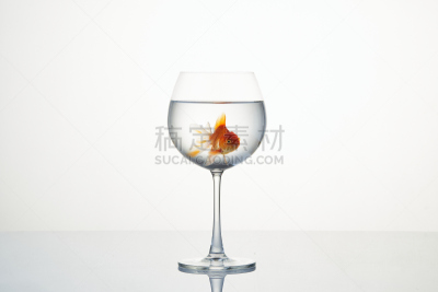小的,葡萄酒杯,金鱼,水,平滑的,饮料,湿,淡水,背景分离,人工饲养动物