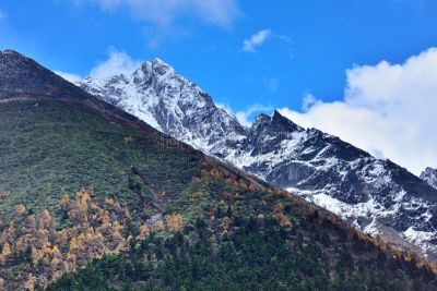 雪,山,色彩鲜艳,森林,水,天空,水平画幅,无人,户外,彩色图片