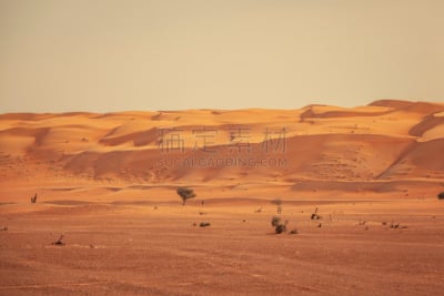 阿曼,沙漠,Wahiba