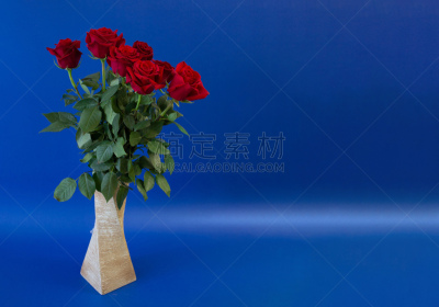 模板,蓝色背景,玫瑰,明信片,花瓶,留白,请柬,情人节卡,儿童,困窘