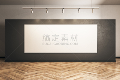 空的,现代,布告栏,华贵,模板,走廊,三维图形,绘画插图,建筑,混凝土
