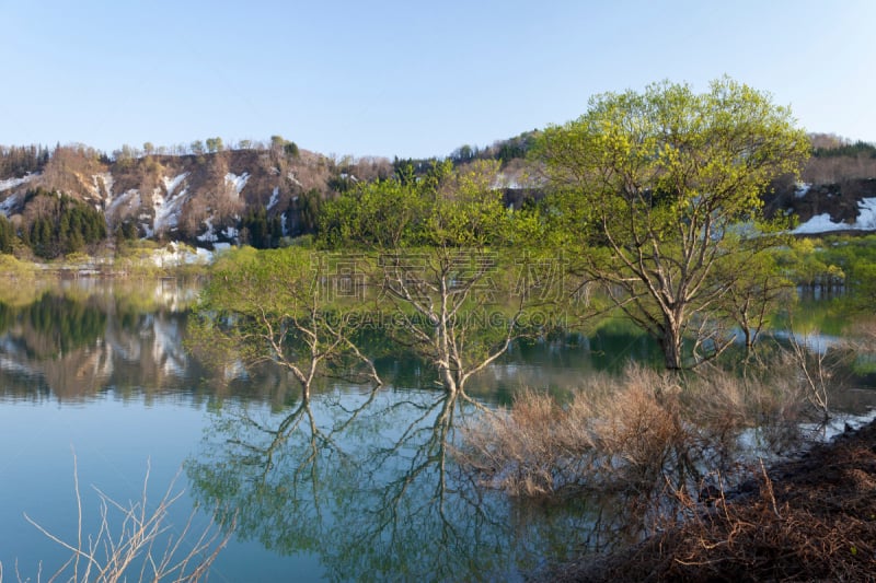 绿色,山形县,湖,日本,清新,白川乡