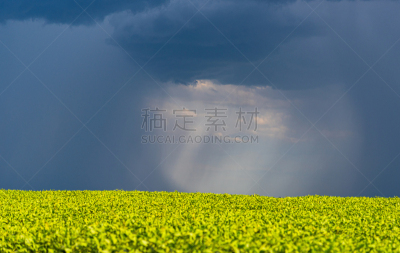 云,种植园,图像,大豆,雨,巨大的,巴西绍森德,负担过重,在上面,抵达