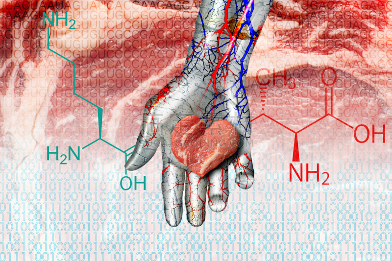金属质感,心型,人造的,肉,牛肉,棕榈树,信使核糖核酸,自动的,编码,布置