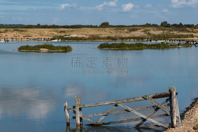 坏掉的,木制,大门,自然保护区,在边上,纯净,云景,云,水面,池塘
