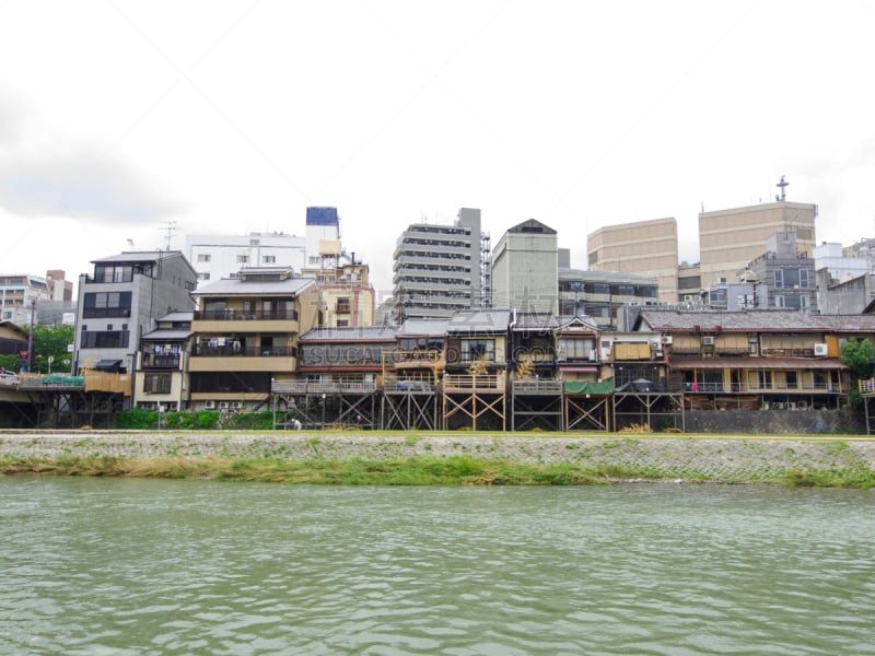 鸭川,京都府,河岸,日本,祗园,河堤,水,天空,留白,公园