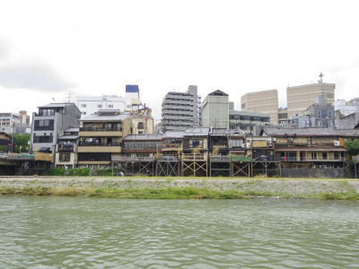 鸭川,京都府,河岸,日本,祗园,河堤,水,天空,留白,公园
