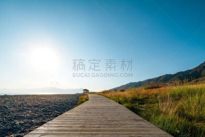 木板路,赛里木湖风景区,旅途,纯净,草,著名景点,自然美,中国,湖,植物