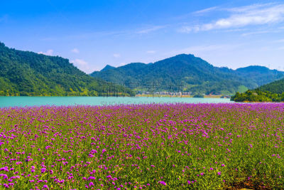 地形,风景,俄亥俄河,千岛湖,环境,水库,著名景点,自然美,湖