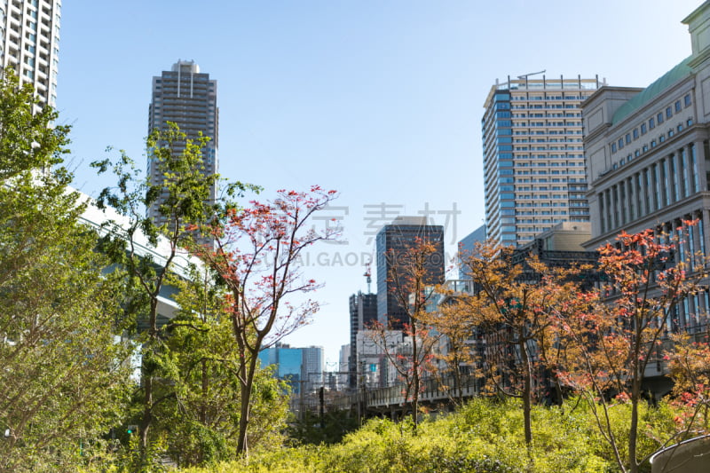 都市风景,东京,汐留区,摄像机拍摄角度