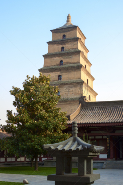 西安,宝塔,野外动物,大雁塔,陕西省,垂直画幅,旅游目的地,建筑,无人,户外