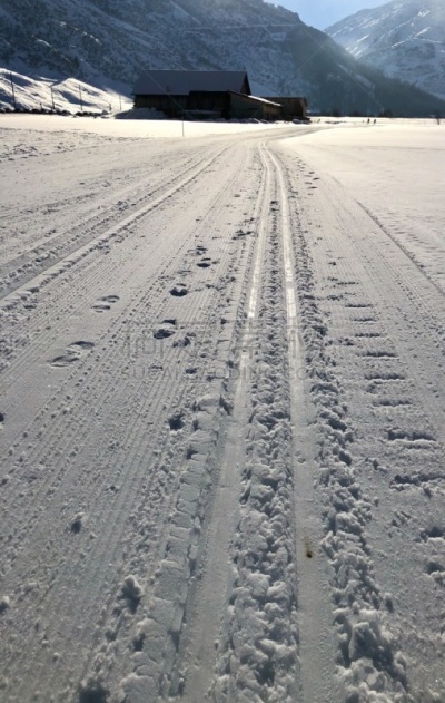 越野滑雪,滑雪痕,瑞士,在之间,山谷,活力,寒冷,纯净,运动,清新
