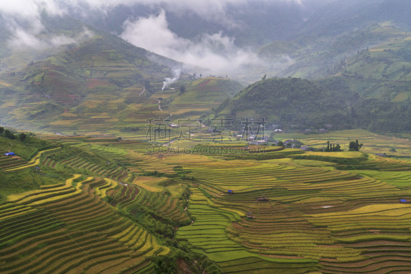 山,山谷,梯田,越南,稻田,稻,拉茶,白族,居住区