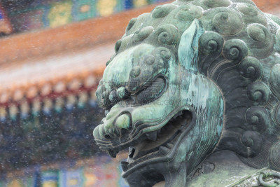 青铜,传统,狮子,特写,高雅,世界遗产,狮王,复古风格,动物