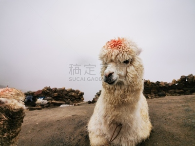 山,彩虹