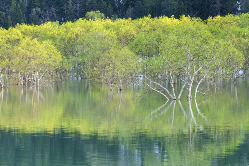 绿色 山形县 湖 日本 清新 白川乡图片素材下载 稿定素材