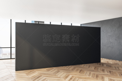 现代,室内,空的,模板,装饰物,窗户,想法,门厅,走廊,三维图形