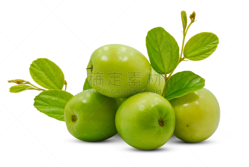 清新,水果,枣糕,白色背景,绿色,分离着色,农业,健康保健,泰国食品,背景分离