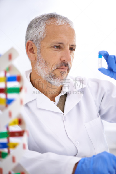 科学,氦,速度滑冰,dna测试,生物学家,医学样本,专业人员,部分,中老年男人,科技