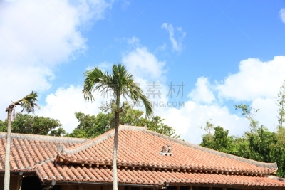 传统,房屋,志佐,瓷砖,冲绳县,橙色,建筑结构,亚洲,那霸,图像