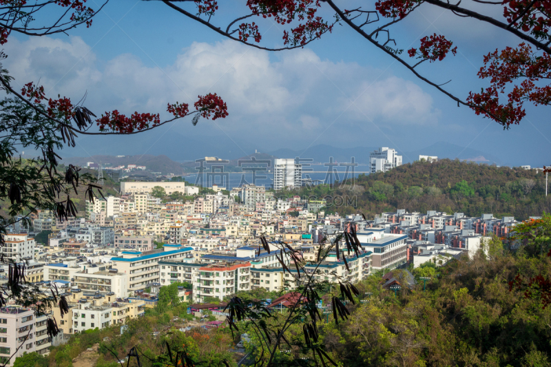 都市风景,地形,三亚,在上面,一只动物,华贵,热带气候,云,渡轮,现代