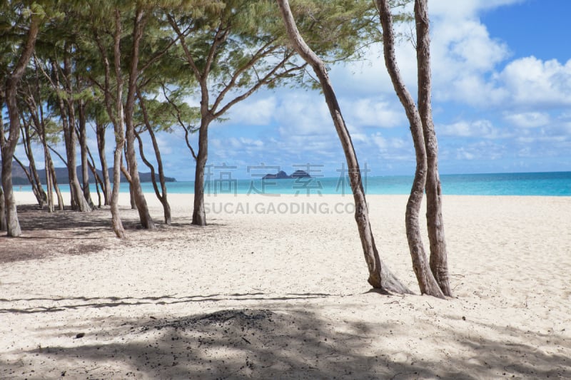 海湾,威马那娜,怀梅阿,外米亚海湾,北部岸,水,沙子,夏天,棕榈树,完美