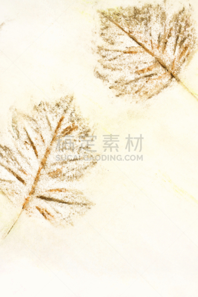 Texture of pencil plant patterns and lines. Stylish background for design, décor, cover, flyer, poster, wallpaper.