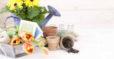 园艺器具,部分,花盆,喷壶,非洲雏菊,郁金香,复古风格,古董,古典式,花
