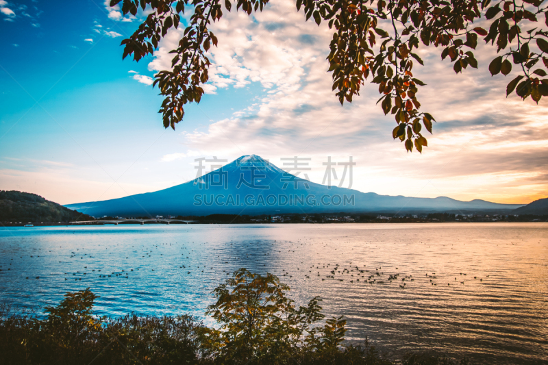 湖,富士山,叶子,秋天,日本,河口湖,奥兰治河,山梨县,日落,剪影