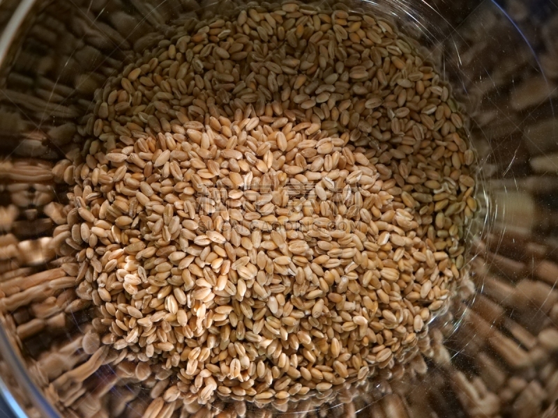 小麦