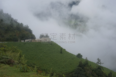 越南,稻,梯田,田地,拉茶,mud pot,农业,小屋,清新,景观设计