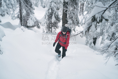雪,女人,户外,自然,徒步旅行,白色人种,青年人,有钱人,覆盖,休闲
