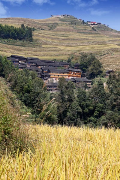 稻,乡村,梯田,房屋,垂直画幅,美,传统,户外,水稻梯田,泰国