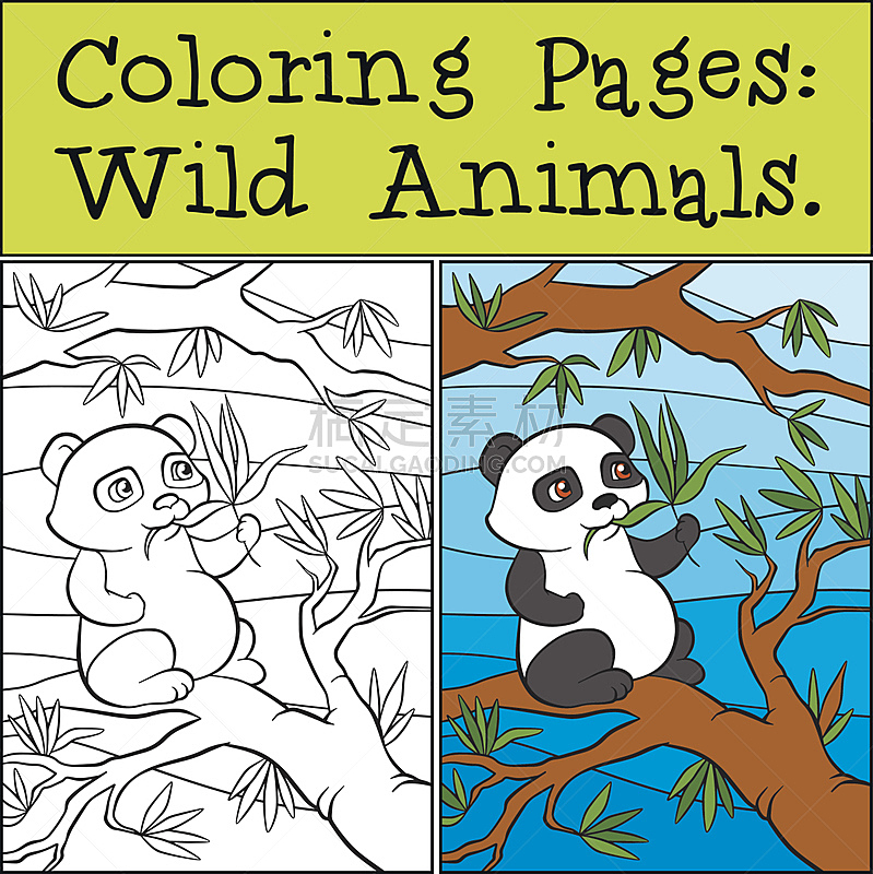 可爱的,叶子,小的,熊猫,幼儿园,野生动物,肖像,哺乳纲,动物,中国