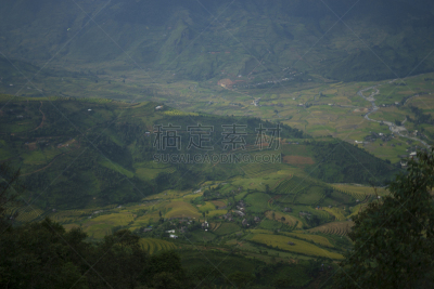 越南,稻,梯田,田地,mud pot,拉茶,农业,小屋,清新,景观设计