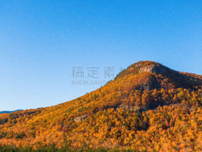 季节,秋天,叶子,枝繁叶茂,枫树,背景,航拍视角,森林,出示