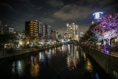 照明设备,河流,横滨,城市天际线,正下方视角,船,城市生活,城镇景观,观光船,公共建筑