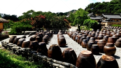 韩国,安全护栏,风景,自然美,可爱的,韩国食物,传统,花盆,香料,韩国泡菜